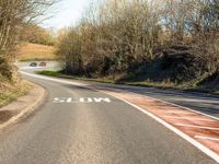 Road traffic separator sign
