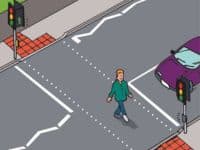 Toucan crossing sign